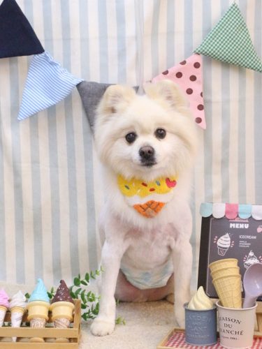 20250521もふくん